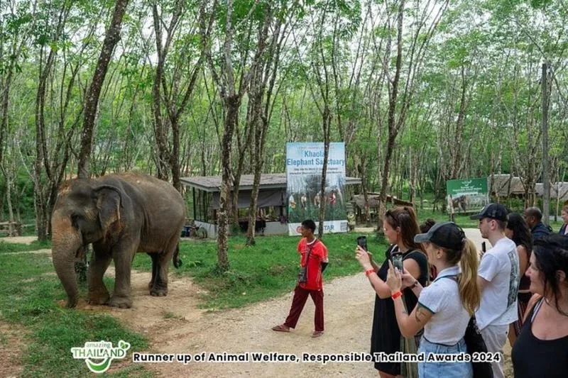 Featured tour with 36 reviews: Khao Lak Elephant Sanctuary Small-Group Guided Tour