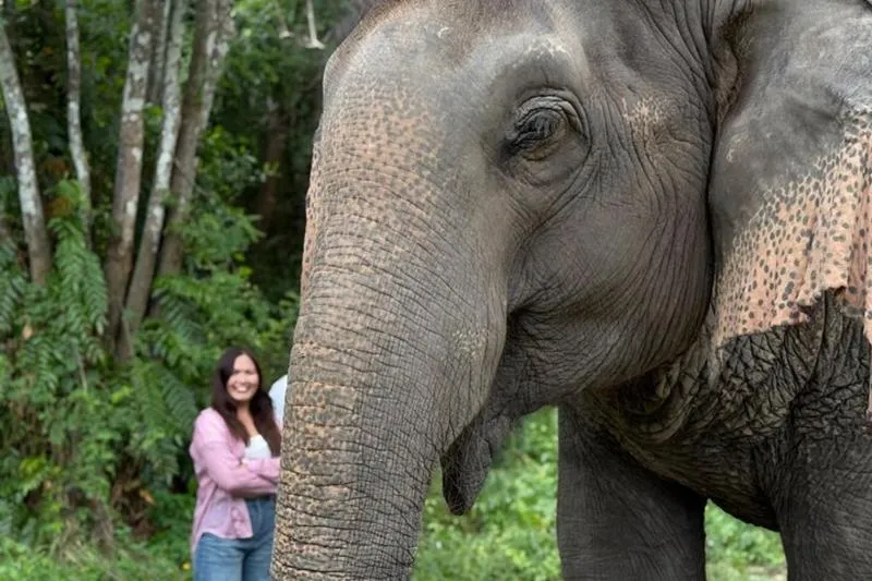 Featured tour with 14 reviews: Army Jeep Jungle Safari and Elephant Freedom Rescue Centre Tour