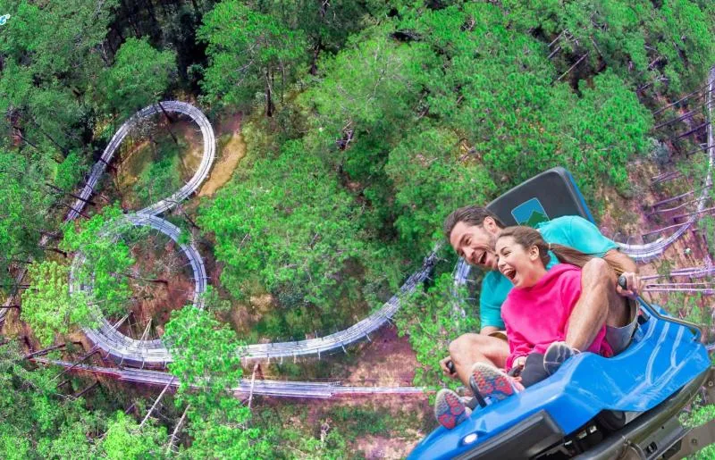 Datanla New Alpine Coaster Experience